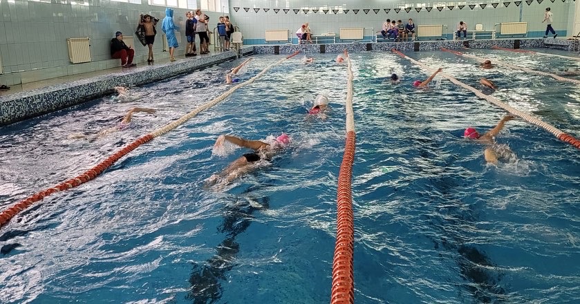 соревнования по плаванию СШ-2 «Юность»  «День стайера»