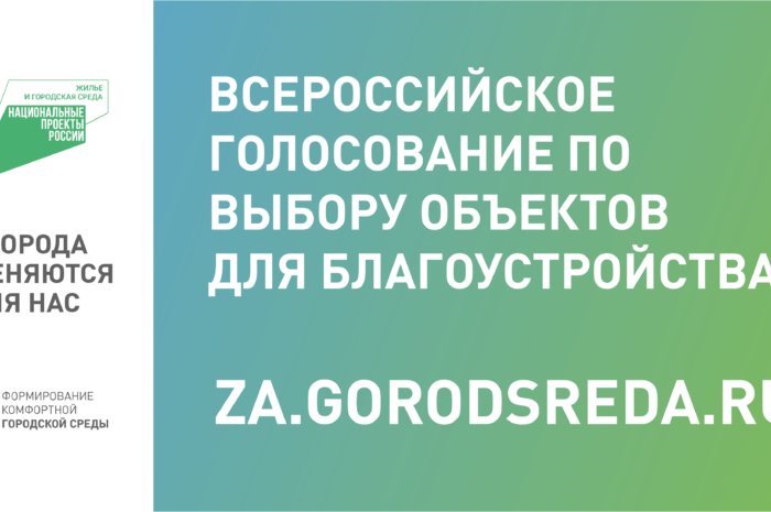 онлайн-голосования граждан