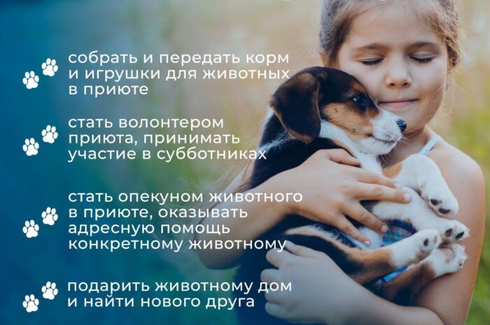 20 августа — Единый день помощи животным!