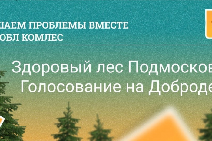 Здоровый лес Подмосковья»