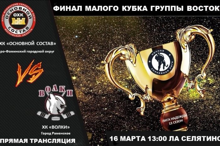 Финал малого кубка  Ночной хоккейной лиги дивизион «Восток»