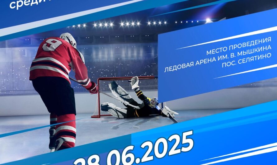 Хоккейные матч