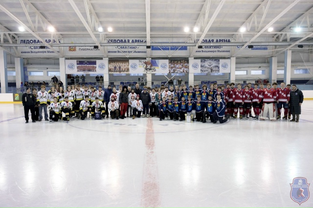 СЕЛЯТИНО «ЗОЛОТАЯ ШАЙБА» В МОСКОВСКОЙ ОБЛАСТИ. КОМАНДЫ 2009-2010 Г.Р.